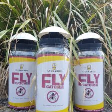 Commercial fly control